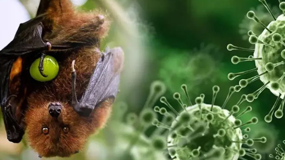 বছরের প্রথম মৃত্যু সংবাদ দিলো আইইডিসিআর