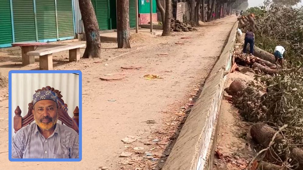 বিএনপি নেতার গাড়ি প্রবেশে অসুবিধা, কাটা হলো বেড়িবাঁধের ২০ গাছ