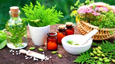 নীতিগত অগ্রাধিকার পেলে আয়ুর্বেদিক হতে পারে জাতীয় সম্পদ