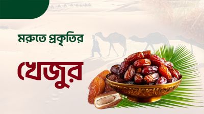 সুন্নতি ও পুষ্টিগুণে ইফতারে খেজুরের চাহিদা থাকে তুঙ্গে