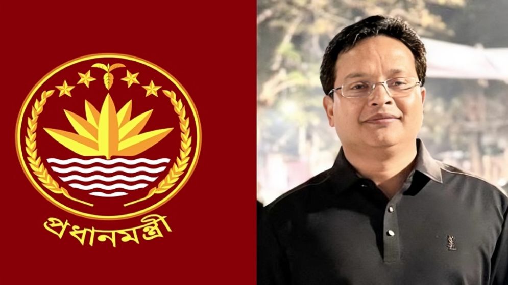 প্রধানমন্ত্রীর প্রতিনিধি হিসেবে দায়িত্বে সানী