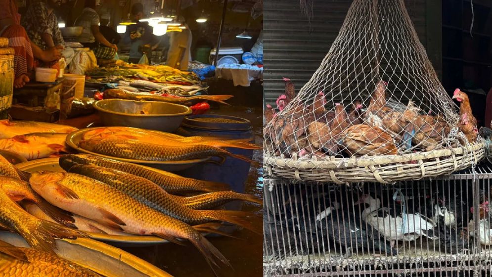 ঈদের পর মুরগি-মাছের বাজারে স্থিতিশীলতা