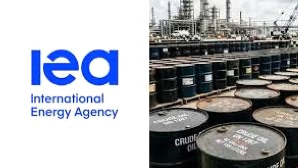 ৪০ কোটি ব্যারেল তেল ছাড়ার আইইএ’র সিদ্ধান্তকে স্বাগত জানালো জাপান