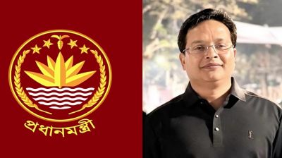 প্রধানমন্ত্রীর প্রতিনিধি হিসেবে দায়িত্বে সানী