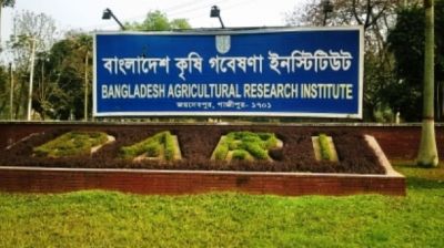 বাংলাদেশ কৃষি গবেষণা ইনস্টিটিউটে চাকরি