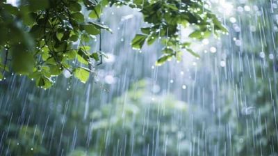 সপ্তাহজুড়ে ৮ বিভাগে বজ্রসহ বৃষ্টির আভাস 