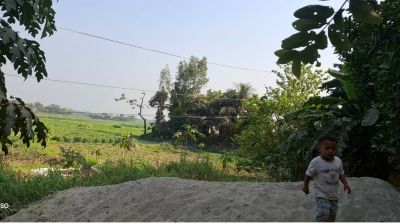 মেঘনায় মাটির কাছাকাছি বিদ্যুতের তার, বড় দুর্ঘটনার শঙ্কা