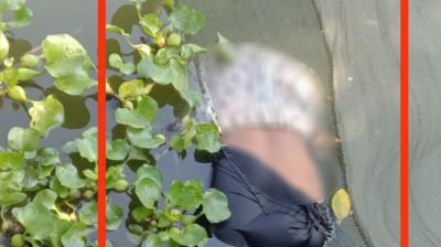 চকরিয়ায় পুকুরে নারীর লাশ