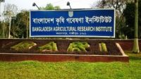 বাংলাদেশ কৃষি গবেষণা ইনস্টিটিউটে চাকরি
