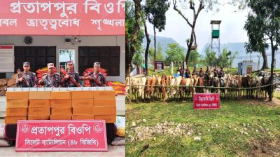 সীমান্তে বিপুল পরিমাণ ভারতীয় পণ্য জব্দ