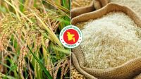 ধান-চালের সরকারি দাম নির্ধারণ
