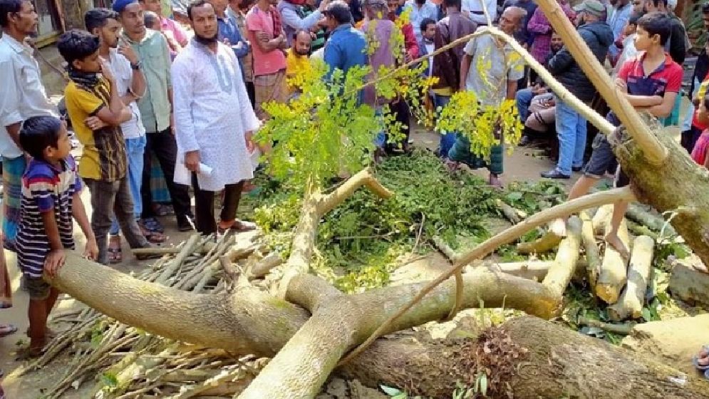 কালবৈশাখি ঝড়ে গাছ চাপায় নিহত এক