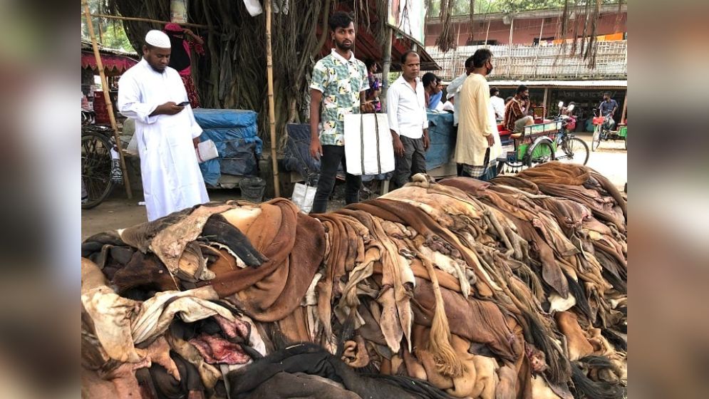 চামড়া সংগ্রহ চললেও দামে অসন্তুষ্ট মৌসুমি ব্যবসায়ীরা