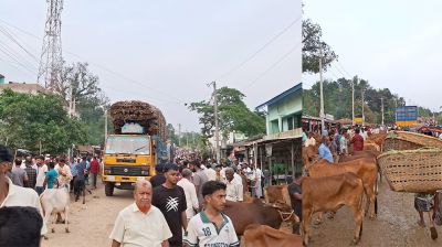 অভিযানেও সরছে না মহাসড়কের অবৈধ পশুরহাট