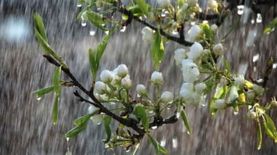 টানা ৫ দিন সারাদেশে ঝোড়োবৃষ্টির আভাস