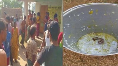 স্কুলের খাবারে সাপ, অসুস্থ ১৫০ শিশু