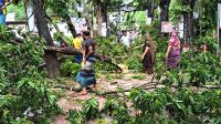 ৪০ মিনিটের ঝড়ে বিপর্যস্ত সদরপুরের জনজীবন