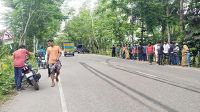 বাসচাপায় প্রাণ গেল দাদি-নাতনির