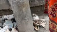 রাস্তার পাশে পড়ে ছিলো মানুষের খুলি-হাড়