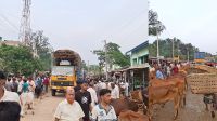 অভিযানেও সরছে না মহাসড়কের অবৈধ পশুরহাট