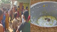 স্কুলের খাবারে সাপ, অসুস্থ ১৫০ শিশু