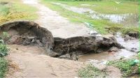 তিস্তায় বাড়ছে পানি, ভাঙছে চরের রাস্তা