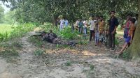 শূন্যরেখা থেকে ২৮ জনকে ফিরিয়ে নিল বিএসএফ